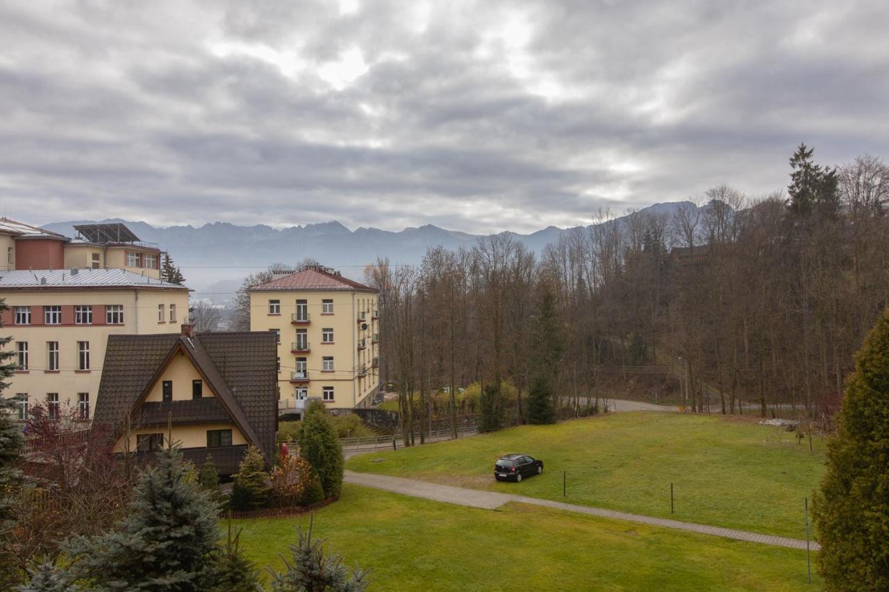 Domino - Zakopane